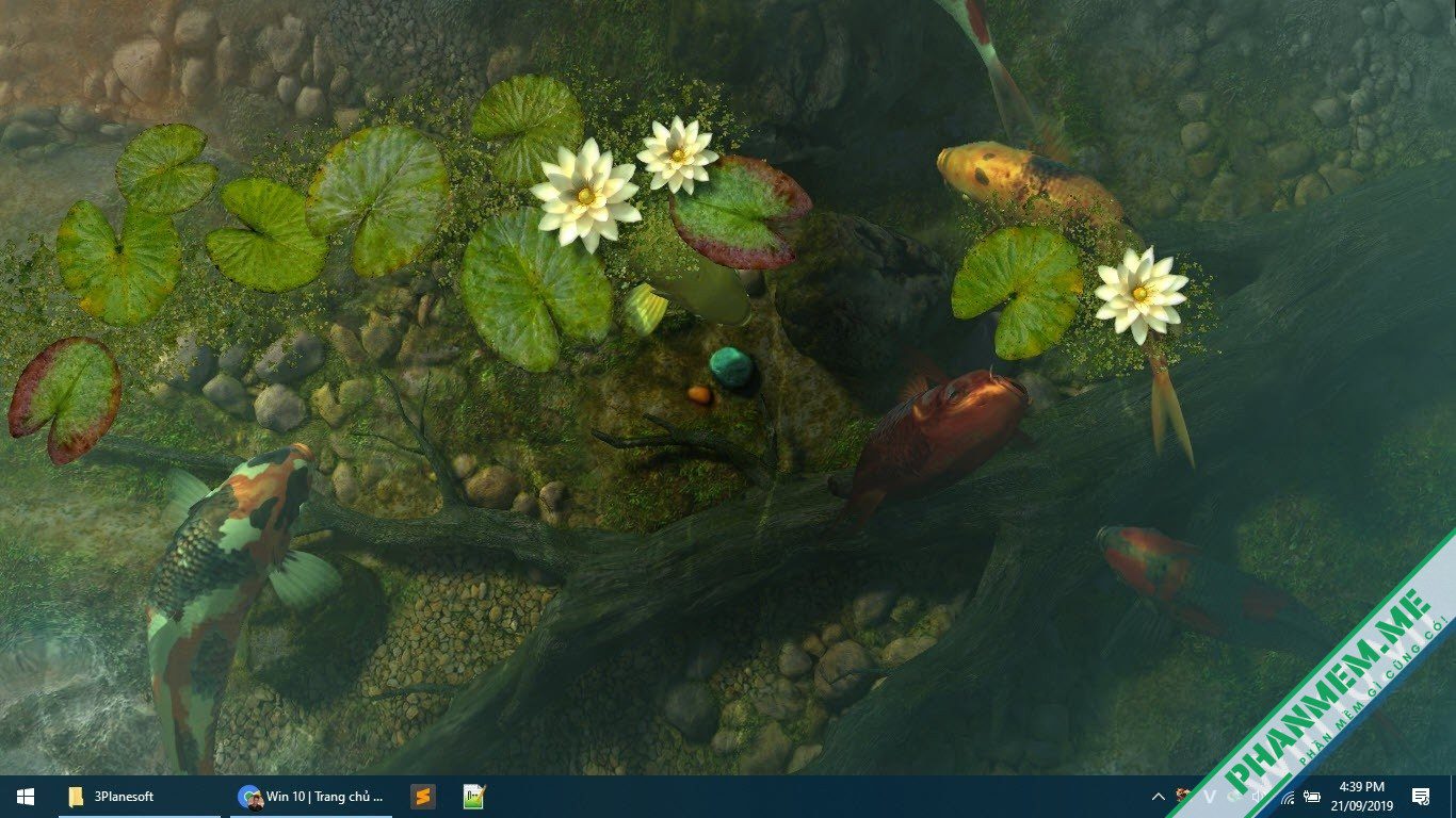 Download 3Planesoft 3D Screensaver All in One 143 (05.2025) 2 Wallpaper hồ cá 3D