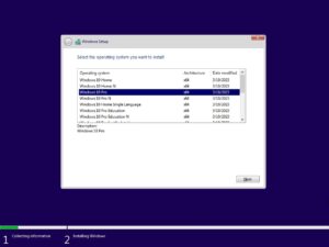 Windows 10 16in1 22H2 build 19045.2728 Setup