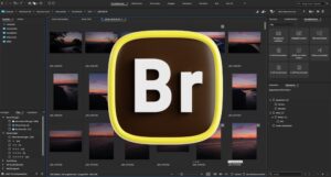 Adobe Bridge