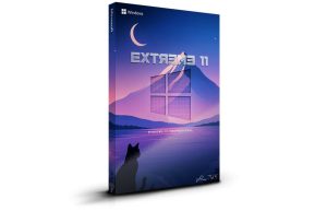 🐈‍⬛Extreme 11 25H2 🐈‍⬛ [Special Release] - Windows 11 25H2 Pro Lite