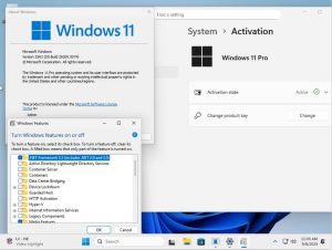 tiny11 Core Windows 11 25H2 (Preview)