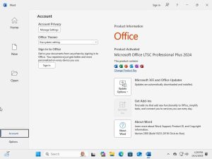 Windows 11 Pro 25H2 + Office 2024 Bypass TPM