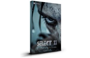 Windows 11 25H2 Pro Lite "Select 11" by Jerry Xristos & PasMater